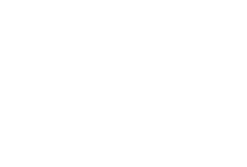 Besilen Corporate Services